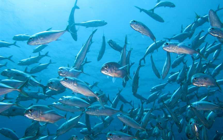 North Lalang-garram Marine Park