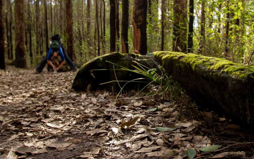 Porongurup National Park