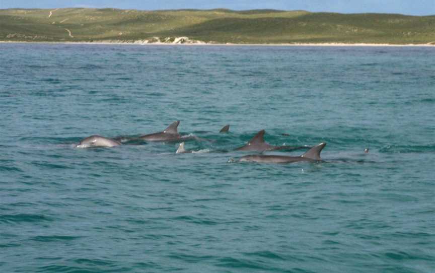 Shark Bay Marine Park