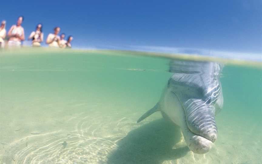 Shark Bay Marine Park