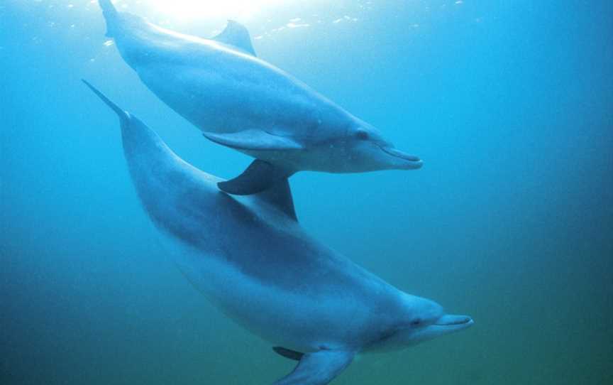 Shoalwater Islands Marine Park