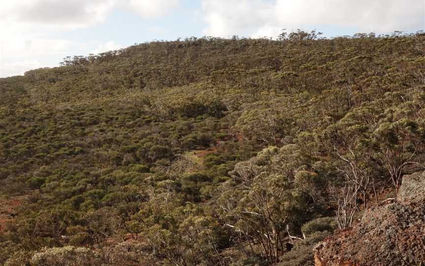 Wongan Hills Nature Reserve