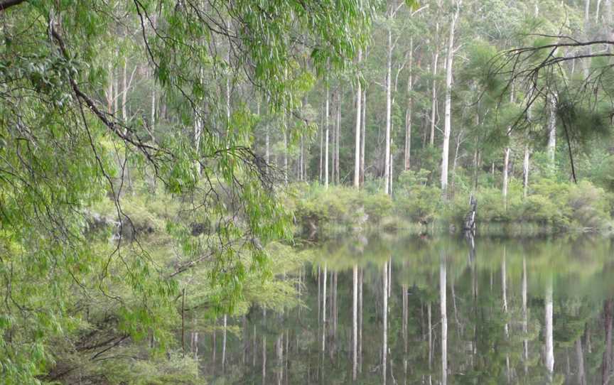 Shannon Dam