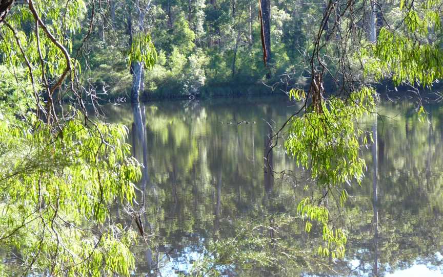 Shannon Dam