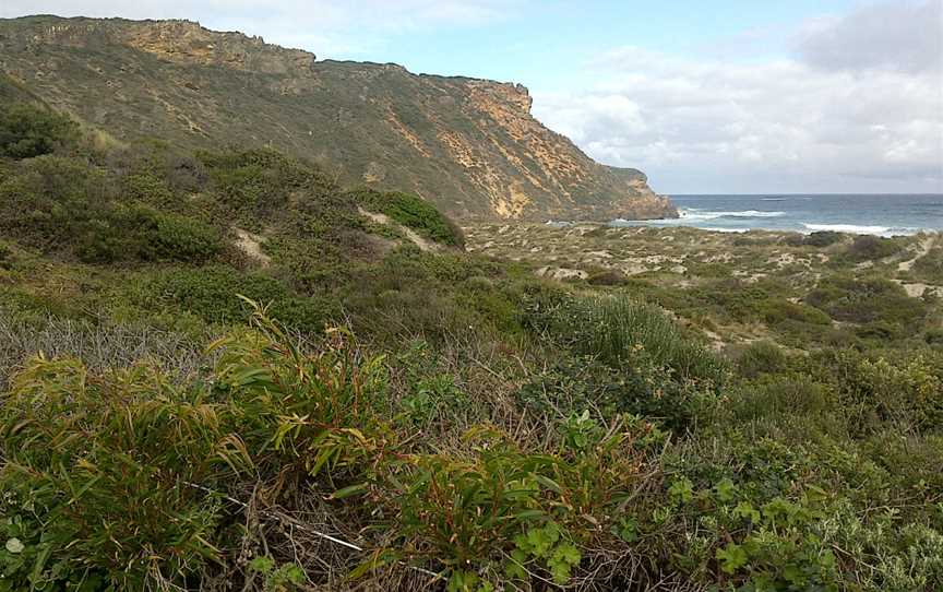 Salmon Beach