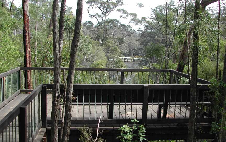 Beedelup Falls