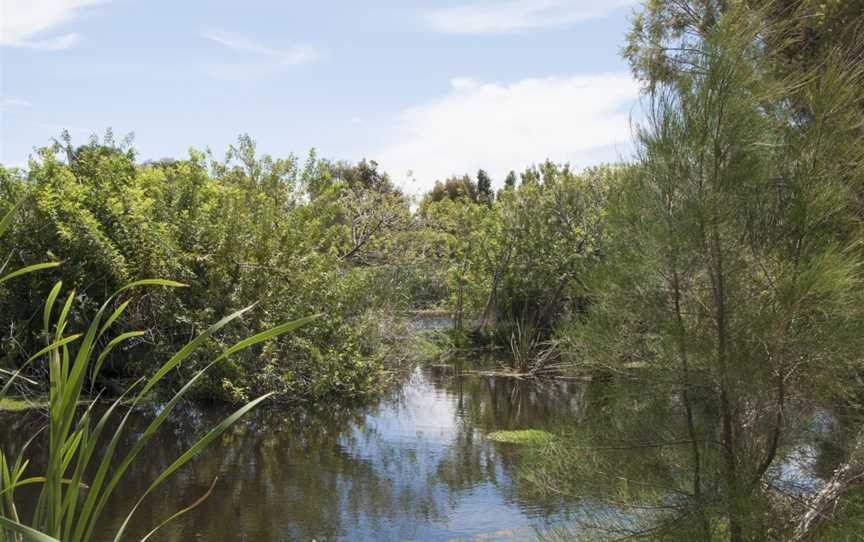 Baigup Wetland