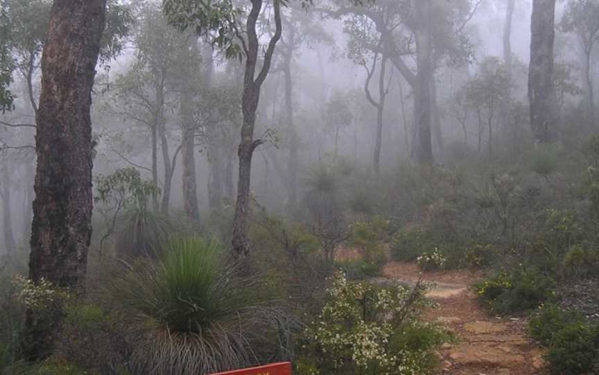 Bibbulmun Track Northern Terminus