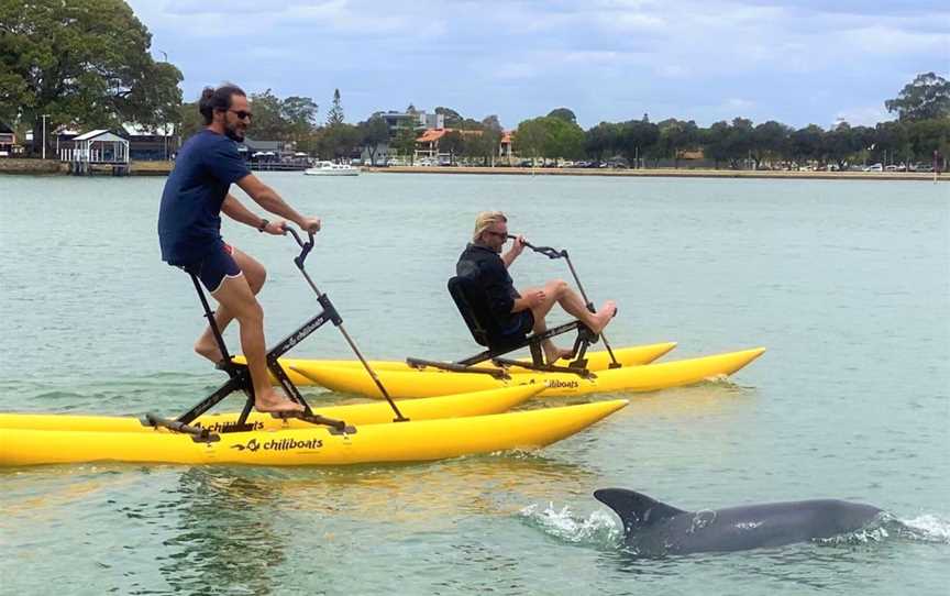 Mandurah Cruises- Waterbike Experiences, Attractions in Mandurah