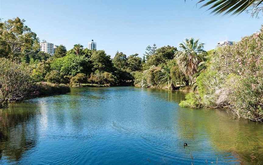 John Oldham Park, Attractions in Kings Park