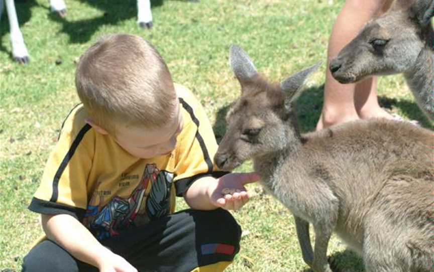 Marapana Wildlife Park, Attractions in Karnup