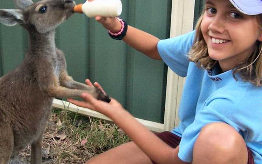 Peel Zoo, Attractions in Pinjarra