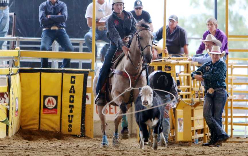 Australian Rodeo Heritage Centre, Warwick, QLD