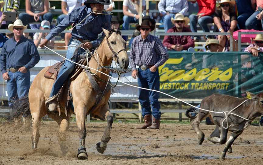 Australian Rodeo Heritage Centre, Warwick, QLD