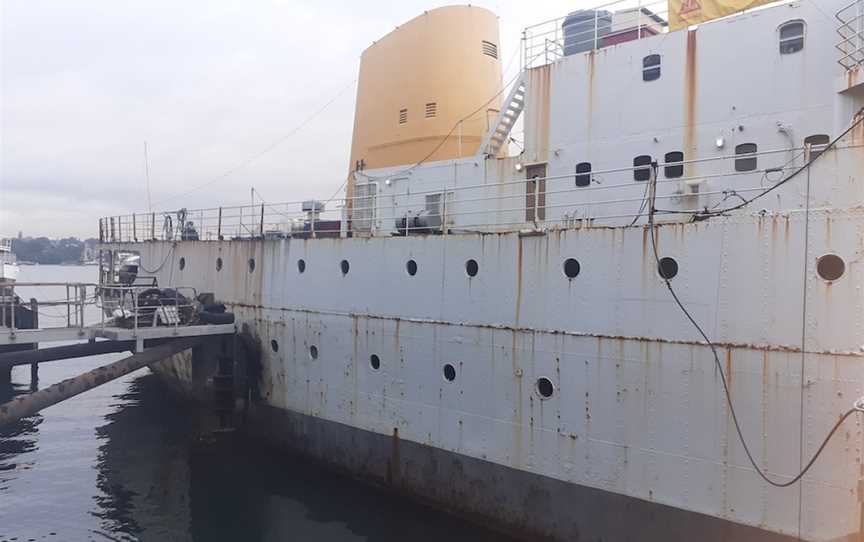 MV Cape Don Society Inc, Tourist attractions in Waverton