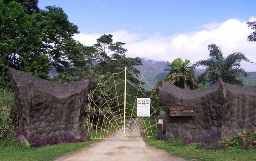 Daintree Entomological Museum, Attractions in Diwan