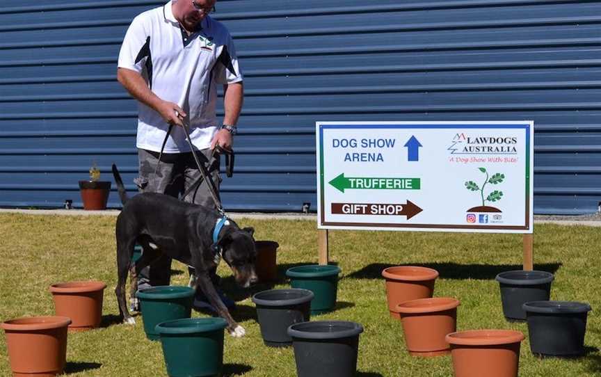 Truffle Discovery Centre Stanthorpe, Attractions in The Summit