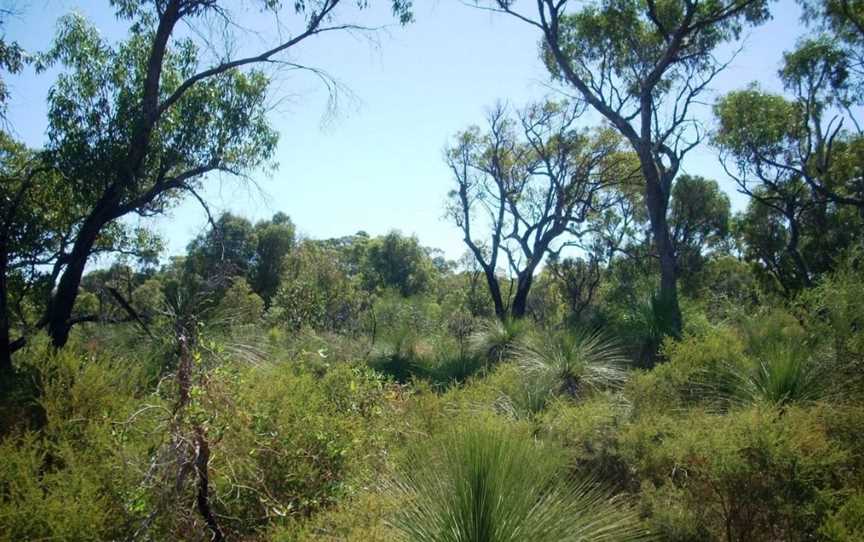 Star Swamp Reserve, Attractions in Stirling