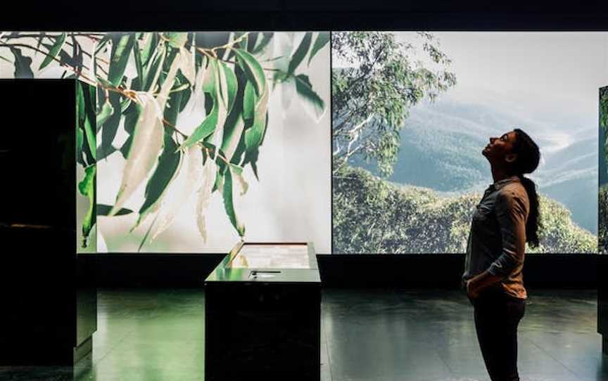 Blue Mountains Cultural Centre, Katoomba, NSW