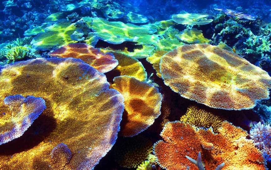 Into The Blue Gallery Australia Shane Batham, Airlie Beach, QLD