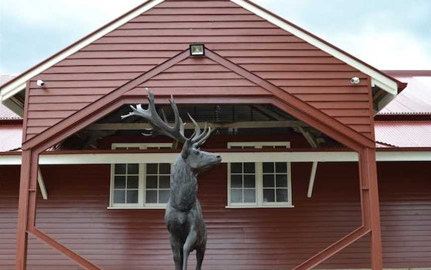 The Condensery - Somerset Regional Art Gallery, Toogoolawah, QLD