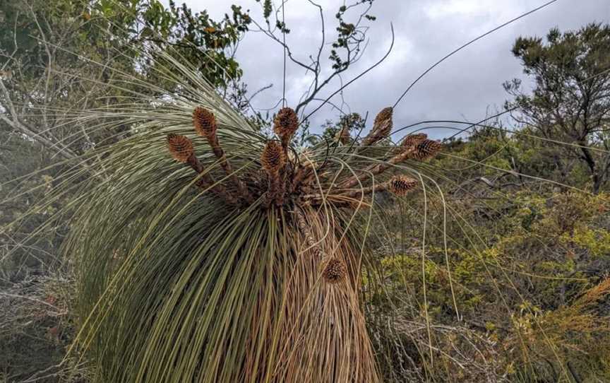 Hassell National Park, Attractions in Green Range