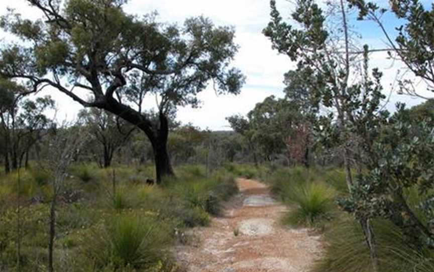 Burley Park, Attractions in Bullsbrook