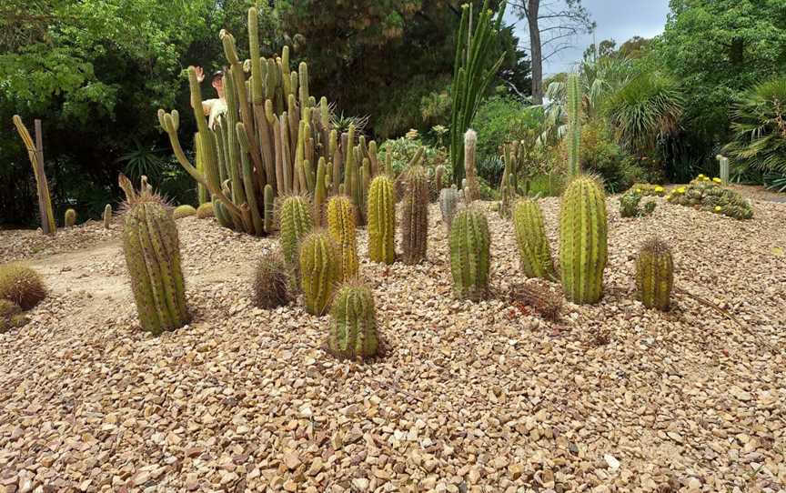 Geelong Botanic Gardens, East Geelong, VIC