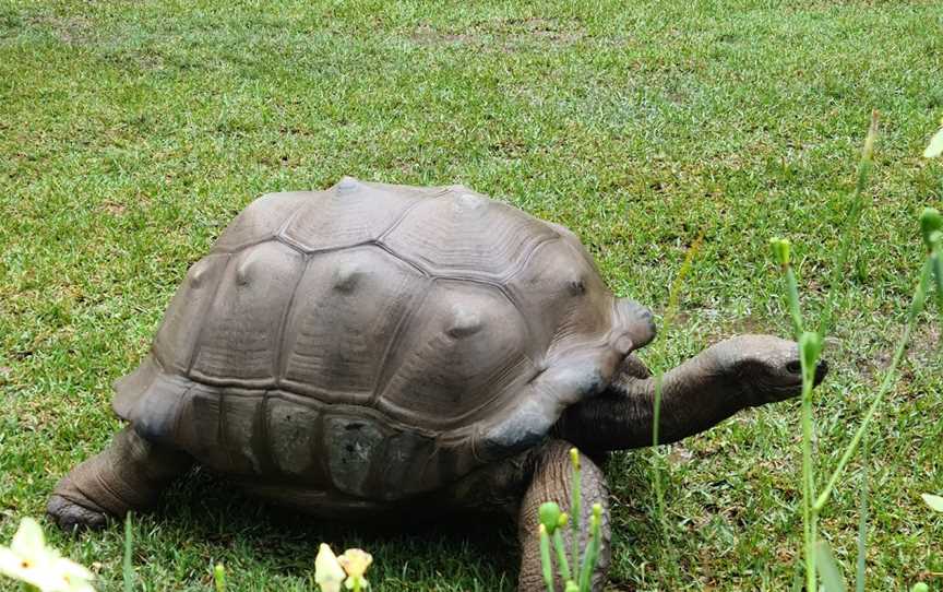 Australia Zoo, Beerwah, QLD