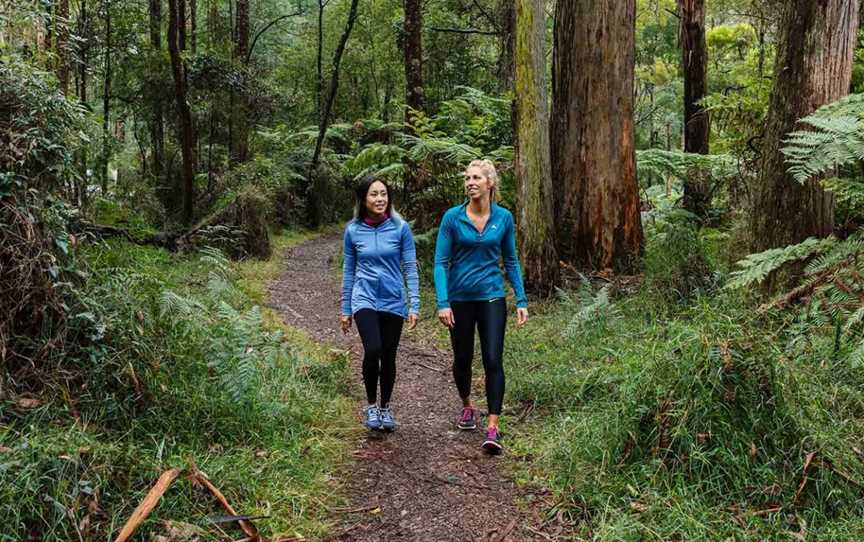 Dandenong Ranges National Park, Tremont, VIC