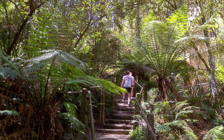 Dandenong Ranges National Park, Tremont, VIC