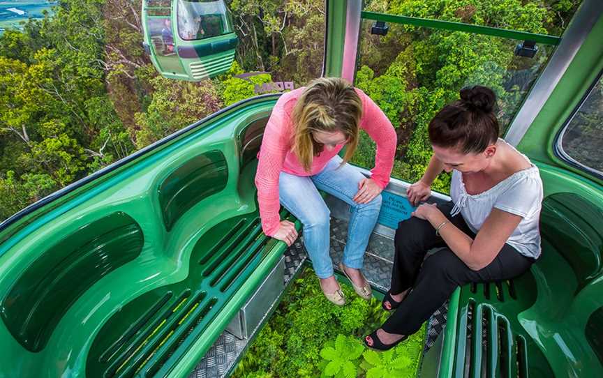 Skyrail Rainforest Cableway, Smithfield, QLD