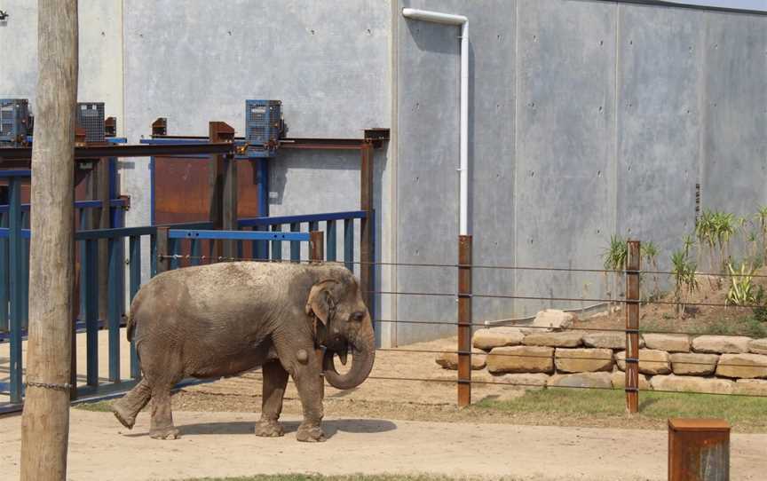 Sydney Zoo, Bungarribee, NSW