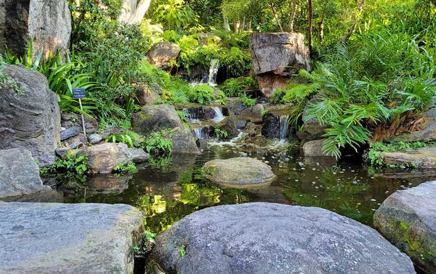 Brisbane Botanic Gardens, Toowong, QLD