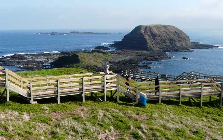 Phillip Island Nature Parks - Penguin Parade, Summerlands, VIC