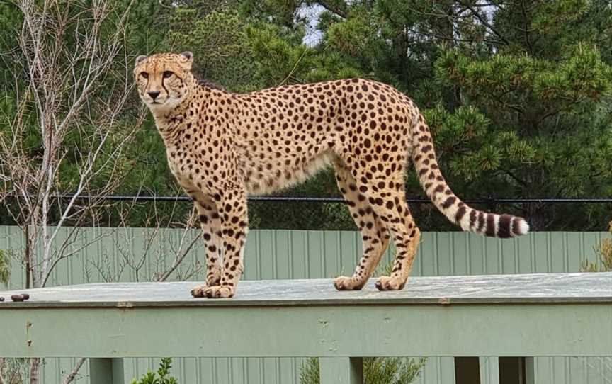 National Zoo & Aquarium, Yarralumla, ACT