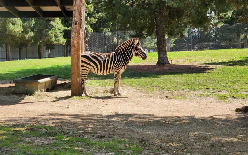 National Zoo & Aquarium, Yarralumla, ACT