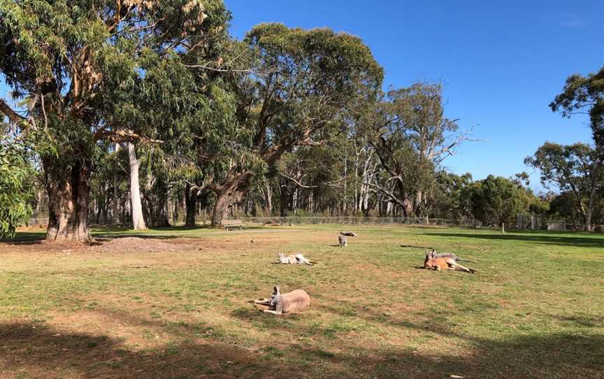 Cleland Conservation Park, Cleland, SA