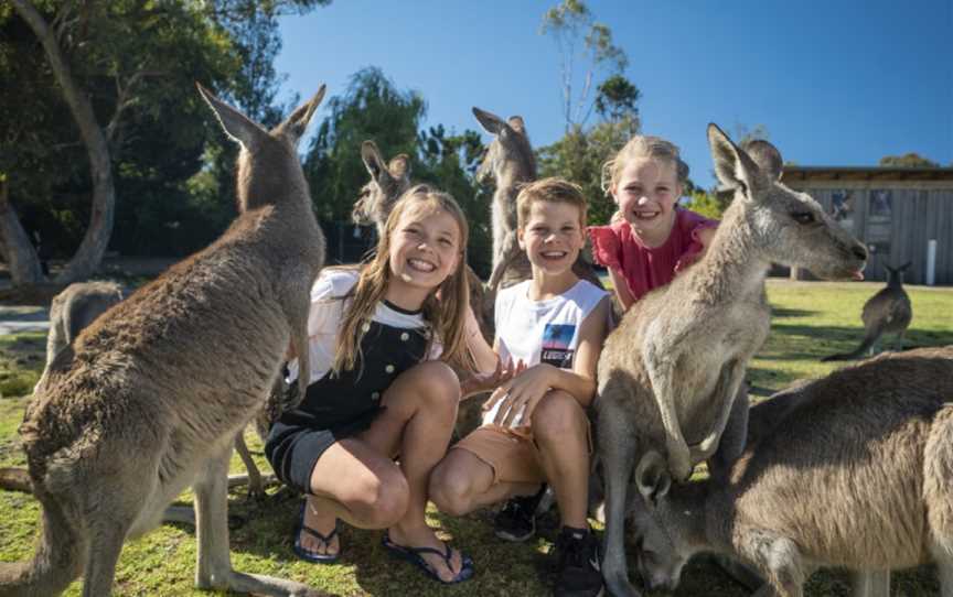 Symbio Wildlife Park, Helensburgh, NSW