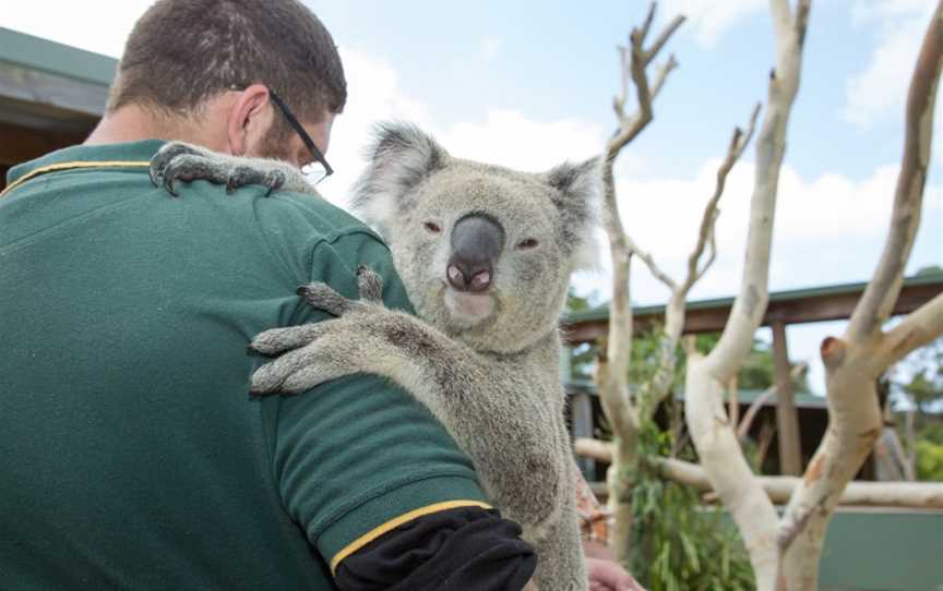 Symbio Wildlife Park, Helensburgh, NSW