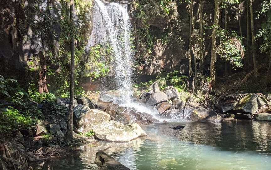 Tamborine National Park, Cedar Creek, QLD