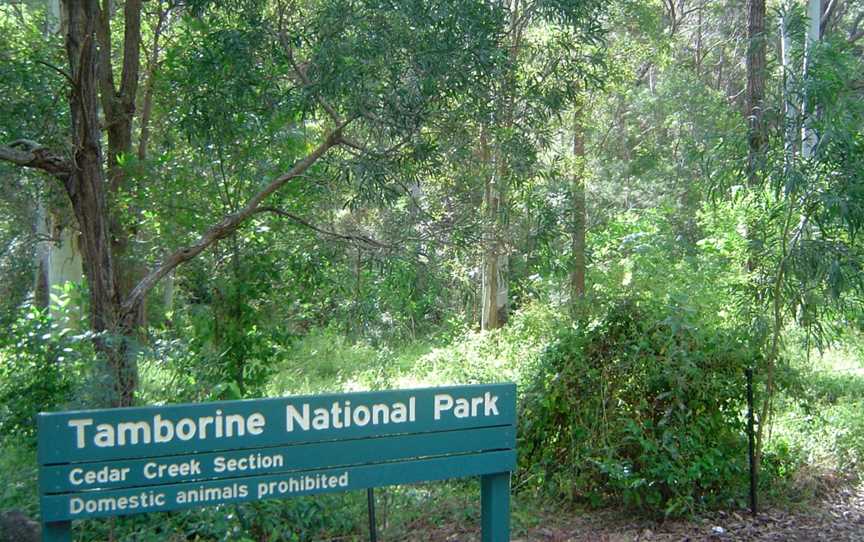 Tamborine National Park, Cedar Creek, QLD