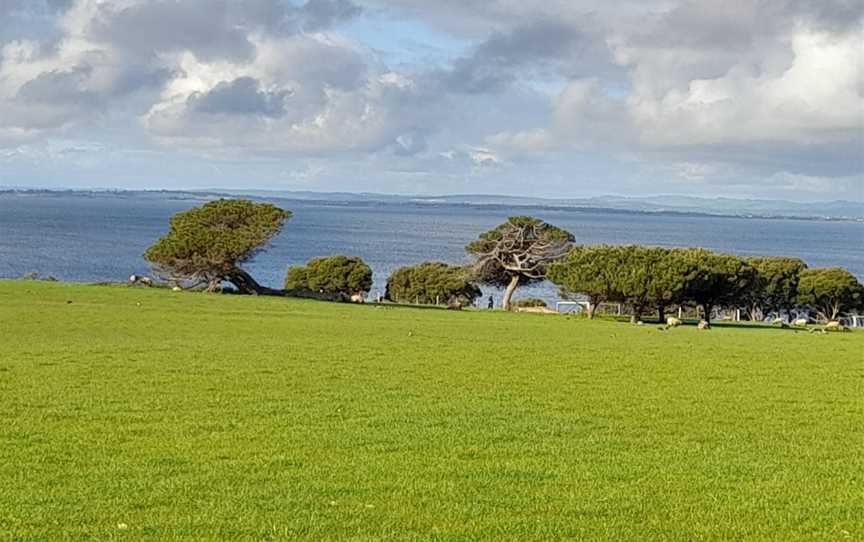 Churchill Island, Churchill Island, VIC