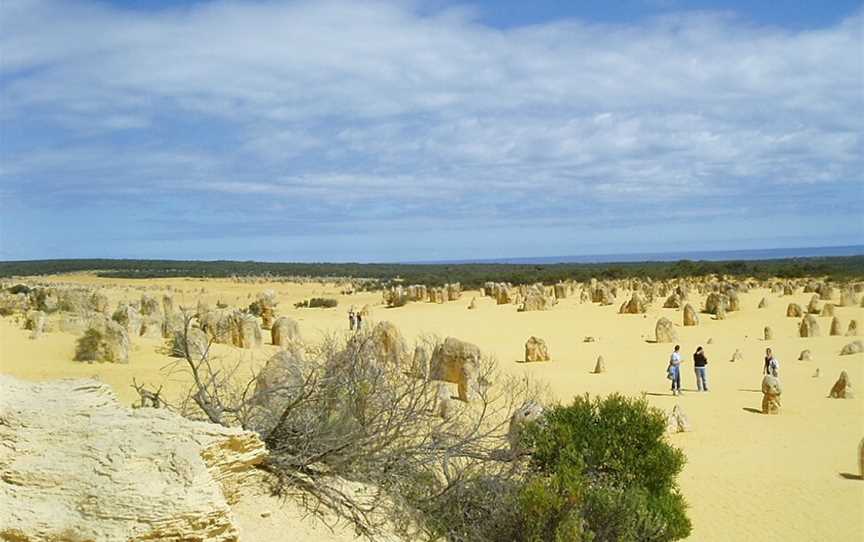 The Pinnacles, Cervantes, WA