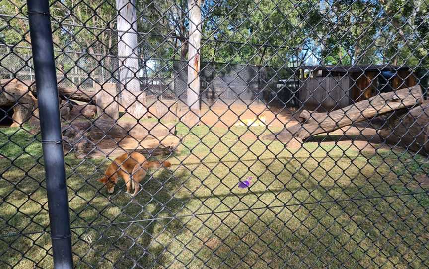 Ipswich Nature Centre, Ipswich, QLD