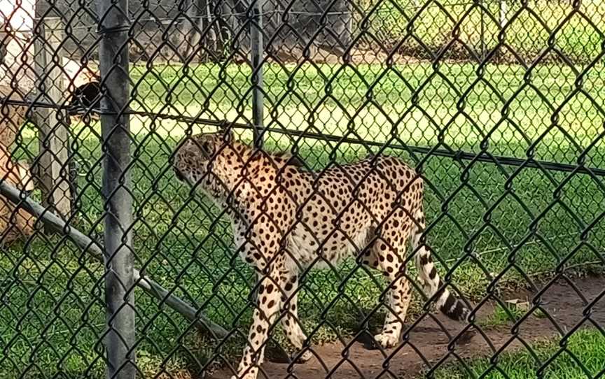 Hunter Valley Wildlife Park, Nulkaba, NSW