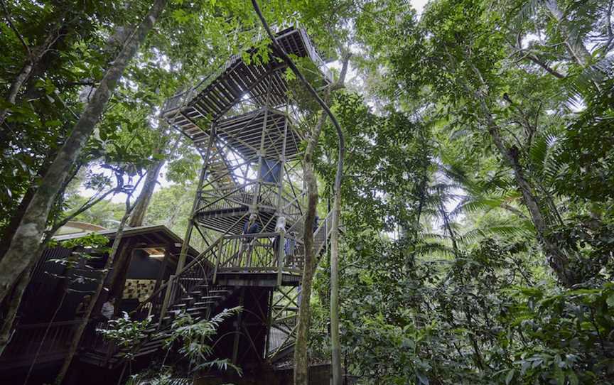 Daintree Discovery Centre, Cow Bay, QLD