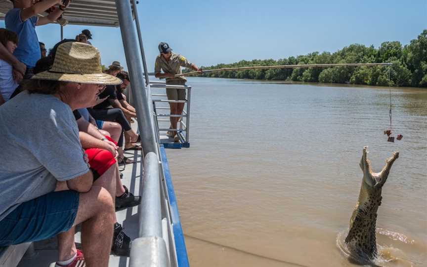 Spectacular Jumping Crocodile Cruise, Wak Wak, nt