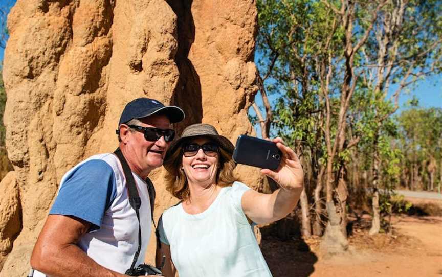 Magnetic Termite Mounds, Litchfield National Park, NT