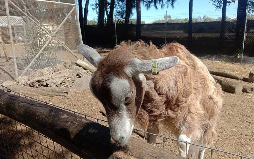 Ranger Red's Zoo & Conservation Park, Pinjarra, WA